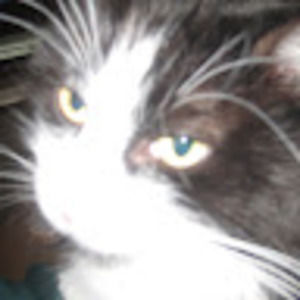 Meet your Posher, Brigida